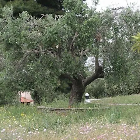 Prázdninový dům Elgevacation 1 Lagomandra