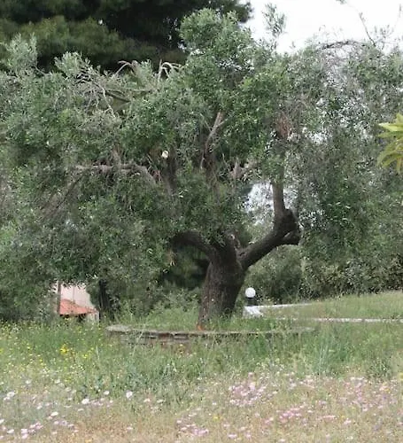 Holiday home Elgevacation 1 Lagomandra