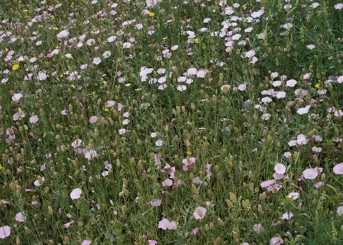 Holiday home Elgevacation 1